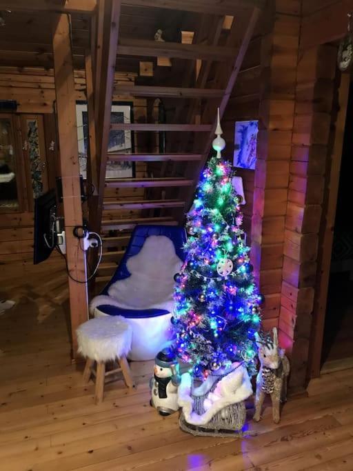 Chalet Veritable Finlandais *
